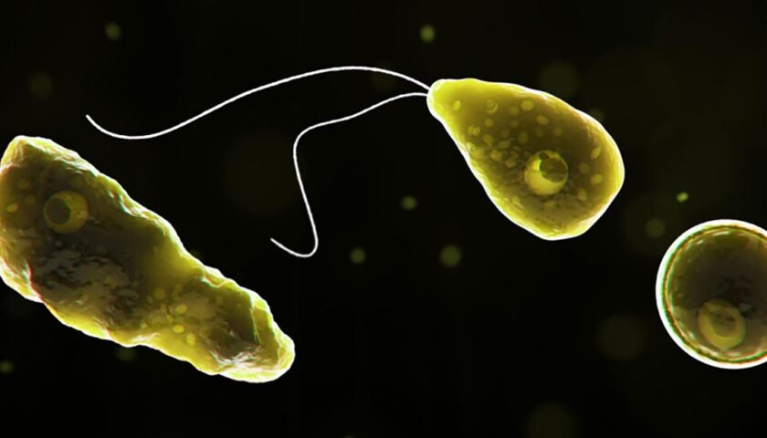 8 Texas cities were alerted to a brain-eating amoeba found in water supply