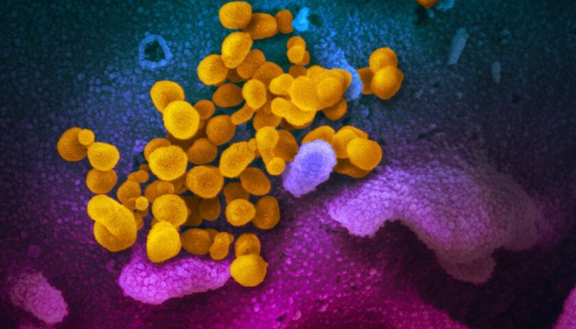 Household spread of is common and quick, CDC study finds