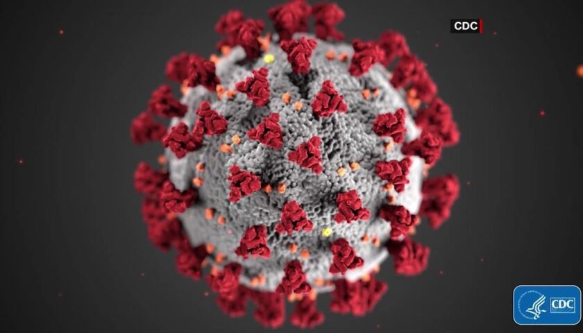 People with Down syndrome have 10 times the risk of death from Covid-19 as those without, study finds