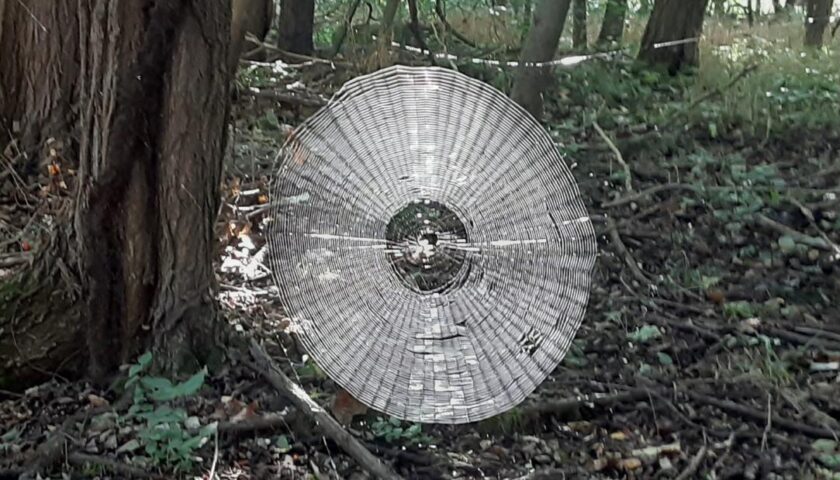 Spooky spiderweb found in Missouri looks big enough to 'catch' a human