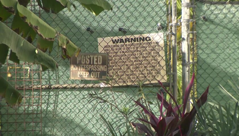 A Florida man was mauled by a leopard after paying $150 for a 'full-contact experience'