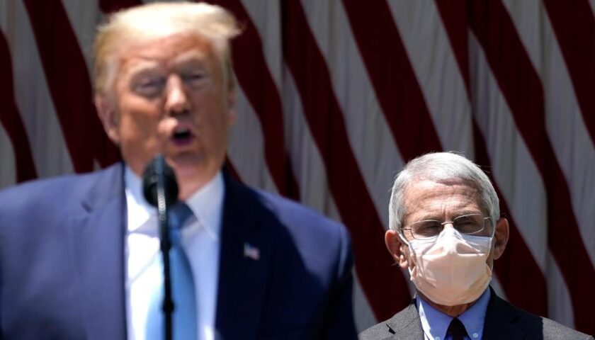 Trump suggests he might fire Fauci after election