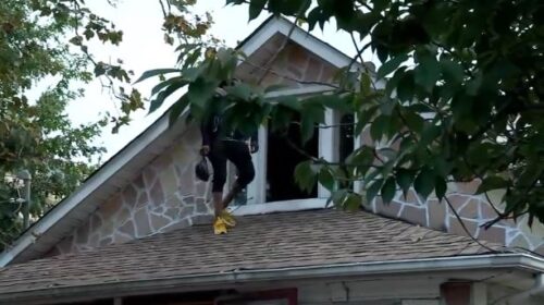 Man spends 2 nights in tree, refuses to come down