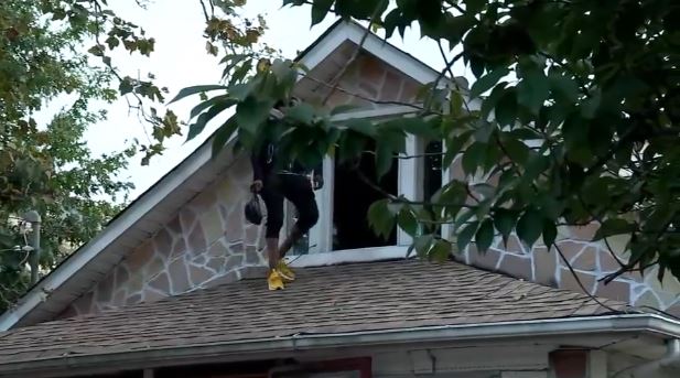 Man spends 2 nights in tree, refuses to come down