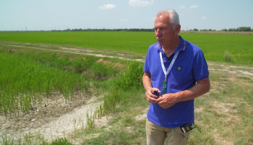 Italian authorities: '70% of crops are gone' in Po River Delta